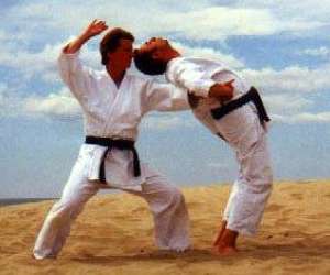 photo Club de jujitsu traditionnel japonais Riviere 2499