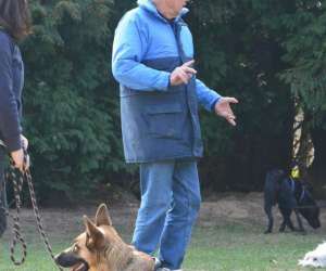 photo Cecam - club d'education canine et d'agility de mastaing Mastaing 7566