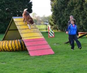 photo Cecam - club d'education canine et d'agility de mastaing Mastaing 7570
