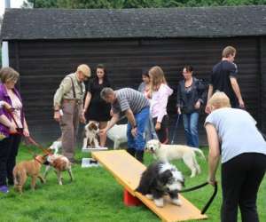 photo Cecam - club d'education canine et d'agility de mastaing Mastaing 7573