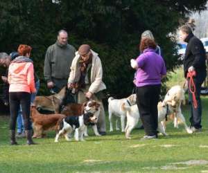 photo Cecam - club d'education canine et d'agility de mastaing Mastaing 7574