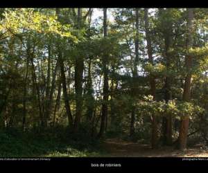 photo Sejours scolaires et centres de loisirs - nature, sport et developpement durable Hergnies 2624