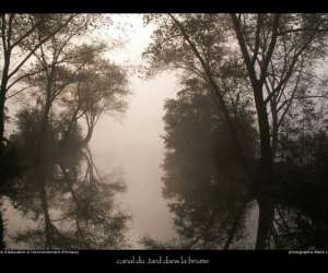 photo Sejours scolaires et centres de loisirs - nature, sport et developpement durable Hergnies 2625