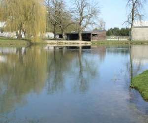 photo Pisciculture de la course Beussent 2896