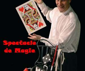 photo Magicien ted magic show Lille 4661