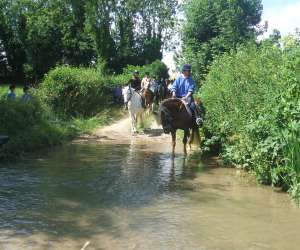 photo Poney-club jules verne Marck 5076