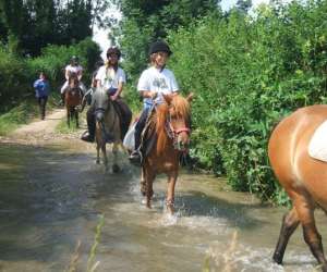 photo Poney-club jules verne Marck 5077