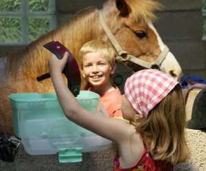 photo Poney-club jules verne Marck 5078