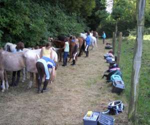 photo Poney-club jules verne Marck 5080