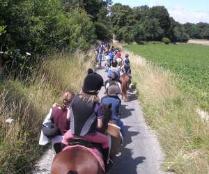 photo Poney-club jules verne Marck 5082
