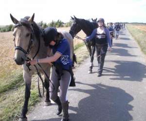 photo Poney-club jules verne Marck 5083