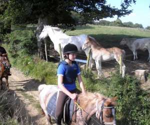 photo Poney-club jules verne Marck 5084