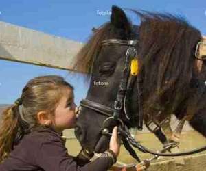 Pony Fun Espace Equestre