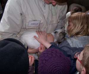 photo Ferme pedagogique du chateau Marquise 3298