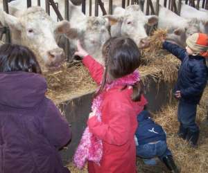 photo Ferme pedagogique du chateau Marquise 3299
