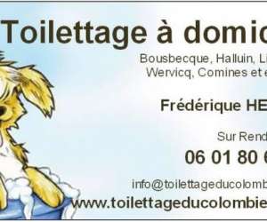 Toilettage A Domicile