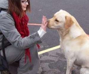 Alter Echo - Education Canine Alter Echo - Education Canine