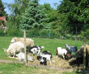 photo La chaiserie Romeries 4180