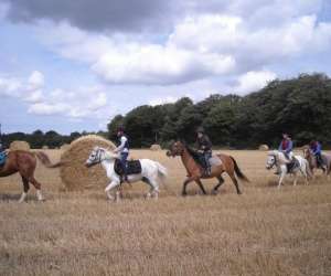 photo Poney-club de marck Marck 5063