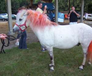 photo Poney-club de marck Marck 5064
