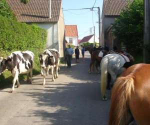 photo Poney-club de marck Marck 5069