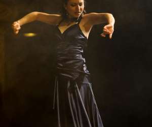 Flamenco La Balandra  -   Cours Et Stages Flamenco  