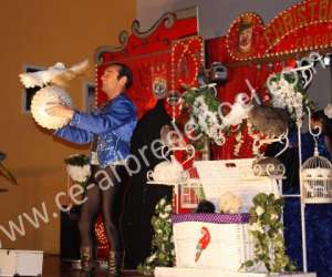 photo Arbredenoelce Wasquehal 4595
