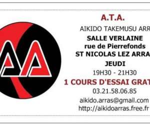 Aikido Takemusu Arras