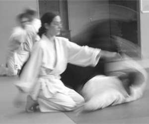 photo Ecole d'aikido roubaix Roubaix 7324