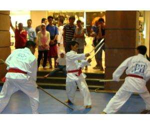 photo Association franaise de silat perisai diri Audresselles 7507