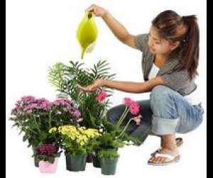 photo Makeda home services Roubaix 7527