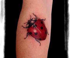 photo Killink tattoo amandine Boulogne Sur Mer 7699