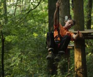 photo Lys aventure -  parcours acrobatique forestier Wervicq Sud 7727