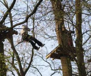 photo Lys aventure -  parcours acrobatique forestier Wervicq Sud 7728