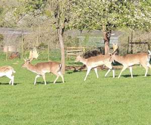 Ferme Pdagogique Le-waterlin