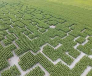 Pop corn labyrinthe berck