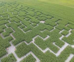photo Pop corn labyrinthe berck (verton) Verton 8358