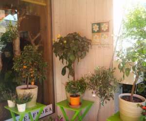 photo Les jardins de l'immacul�e St Nazaire 5208