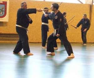 photo Association nghia long arts martiaux Soulge Sur Ouette 2368