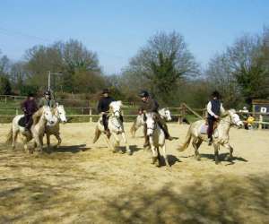 photo Centre questre le roc au loup Andouille 3255