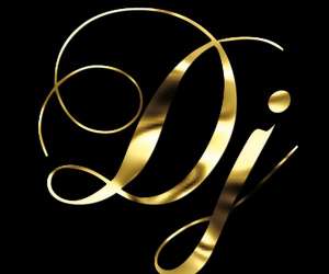 photo Private dj Le Perrier 3680