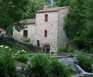 photo La maison de la riviere St Georges De Montaigu 6466