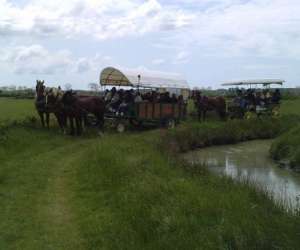 photo Pipaud vincent St Paul Mont Penit 4168