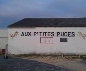 photo Appa aux p'tites puces Nalliers 5326