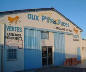 photo Appa aux p'tites puces aiguillonnaises L Aiguillon Sur Mer 5323