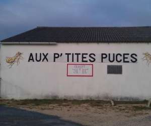 photo Appa aux p'tites puces aiguillonnaises L Aiguillon Sur Mer 5324