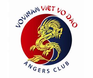 Viet Vo Dao Angers