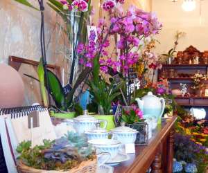 photo Fleurs et toutes autres choses Fontevraud L Abbaye 2610