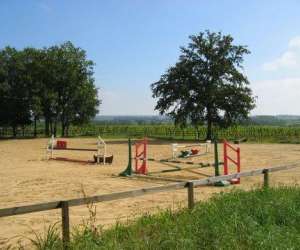 photo Aubance equitation Vauchretien 2791