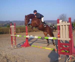 photo Centre equestre du verger Souvigne Sur Meme 6098